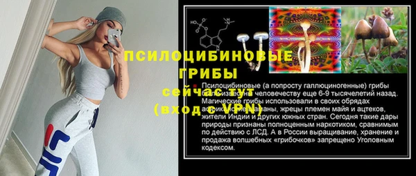 mdma Медвежьегорск