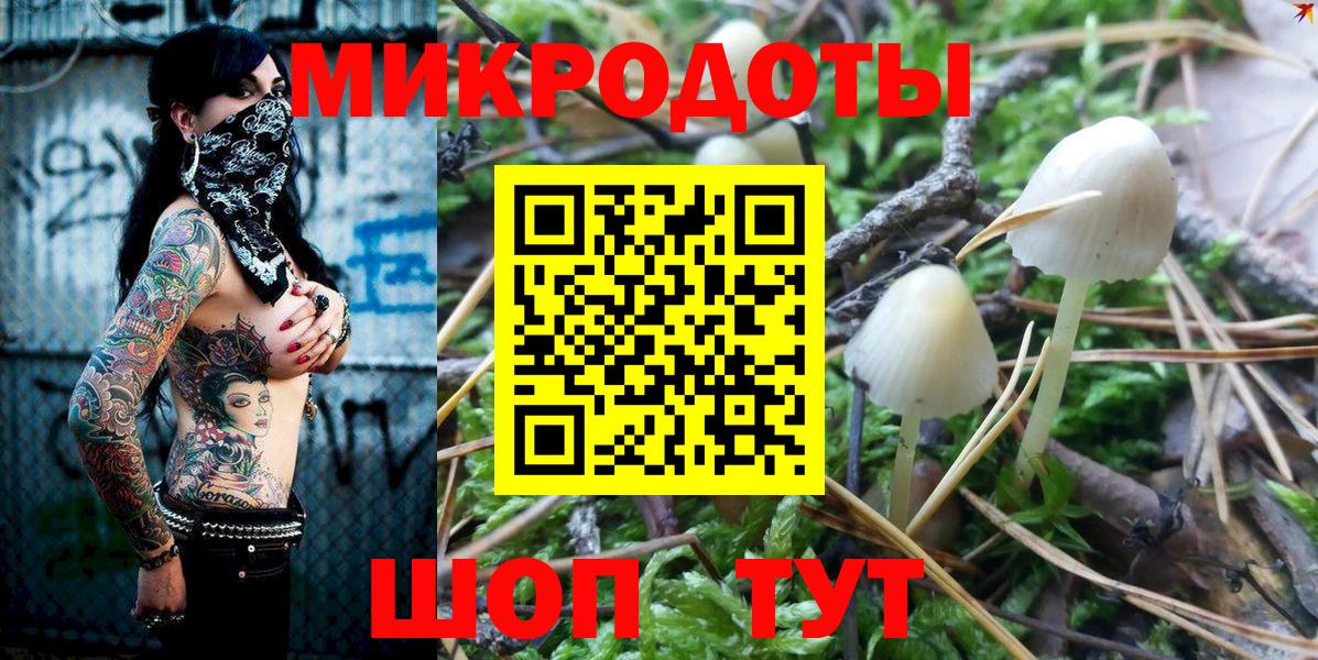 Галлюциногенные грибы мицелий Томск