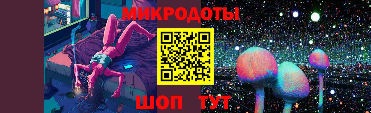 Галлюциногенные грибы Psilocybine cubensis  Томск 