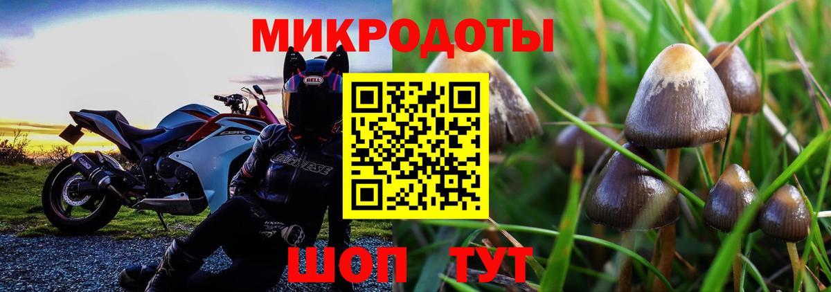 Галлюциногенные грибы Magic Shrooms  Вход с VPN  купить наркотик  Томск 